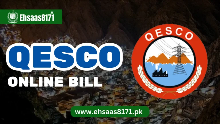 QESCO Online Bill 2024 – Download Duplicate Bill