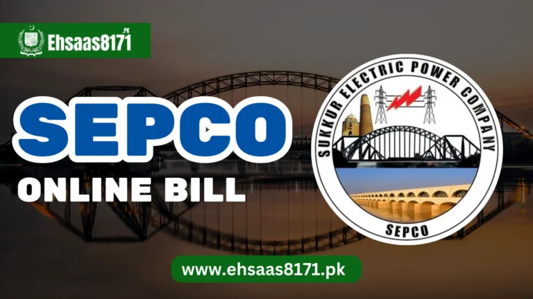 SEPCO Online Bill 2024 – Download Duplicate Bill