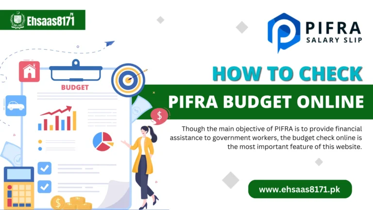 How to Check PIFRA Budget Online 2024