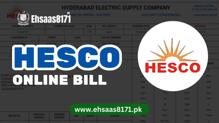 HESCO Bill Online 2024 – Download Duplicate Bill